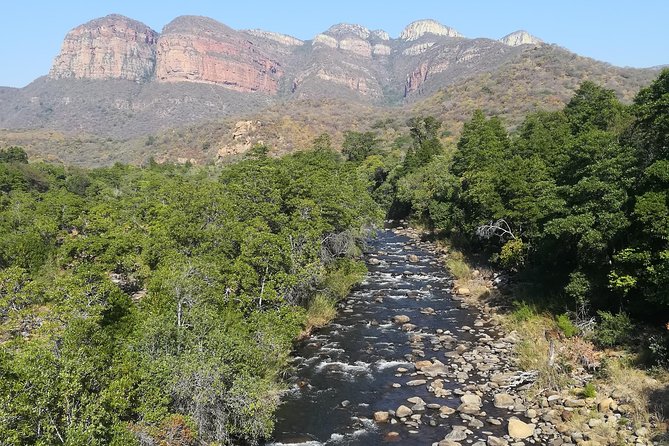4 Day Kruger National Park Tour - Johannesburg pickup, shuttle bus, and arriving ready to safari