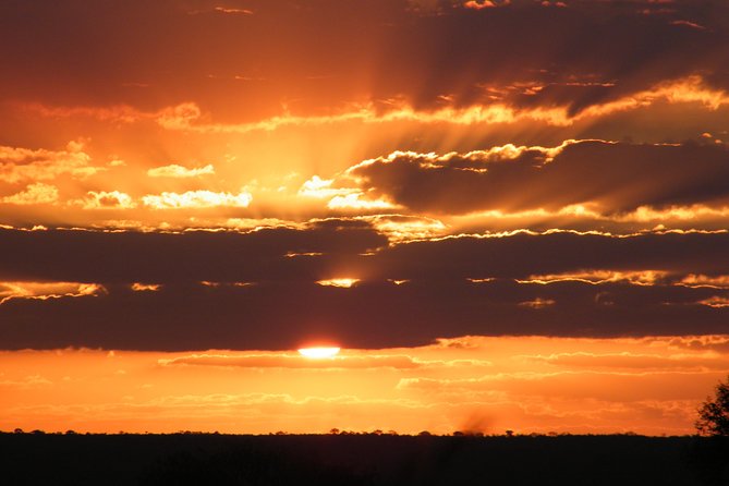 4 Day Kruger National Park Tour - Basecamp in Greater Kruger and the Klaserie Dam stop