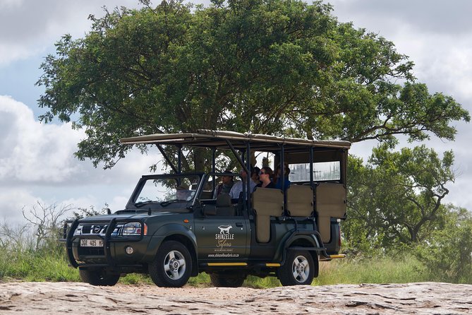 4-Day Kruger Park Safari & Panoramic Tour Combo including Breakfast and Dinner - Day 2: Morning open-vehicle safari with a 180-degree panoramic view