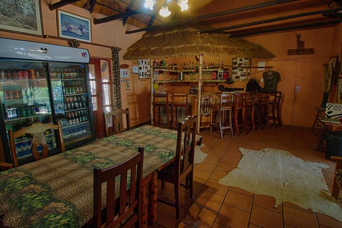 4 Day Lodge and Treehouse Kruger National Park Safari - Should you book the 4-day Balule and treehouse Kruger safari?
