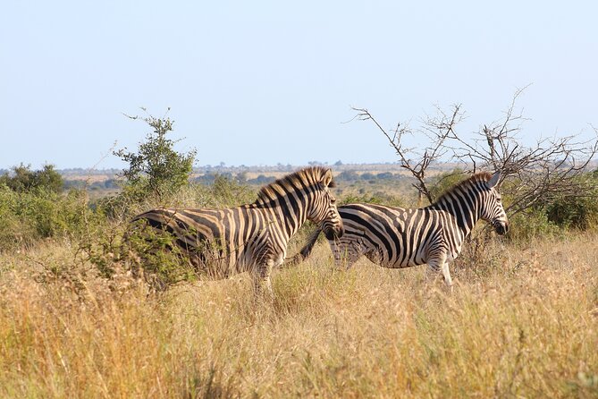 4 day Private Kruger Under Canvas Safari - Price and value: what you are really paying for at about $1,208 per person