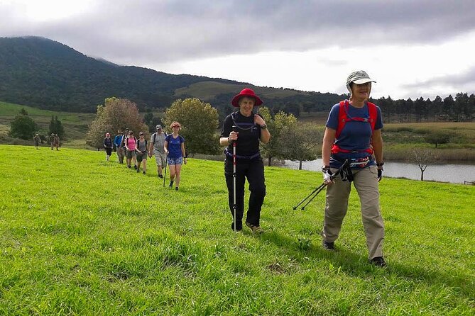 4-Day Private Natal Midlands Falls to Falls Tour - Key things that make this tour worth your time
