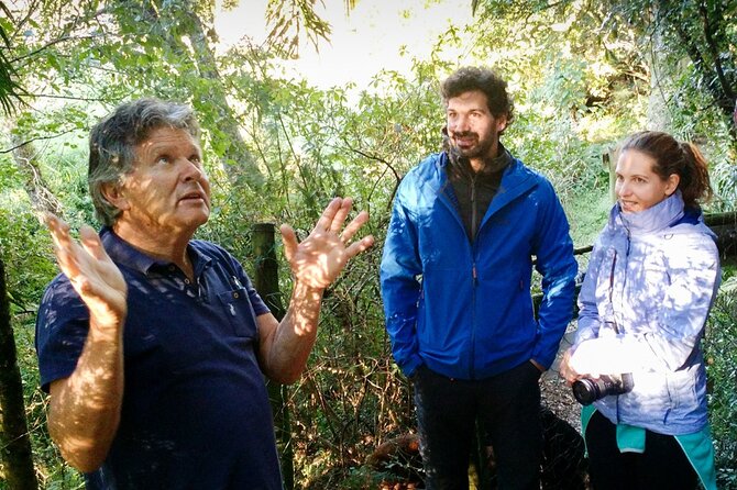 4-Day Private Natal Midlands Falls to Falls Tour - Day 1 at Karkloof Road: arrival that sets up the hiking days