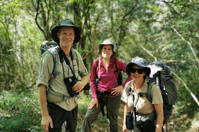 4-Day Private Natal Midlands Falls to Falls Tour - Day 3 bird hides and Karkloof canopy ziplines: seeing wildlife from the right angle