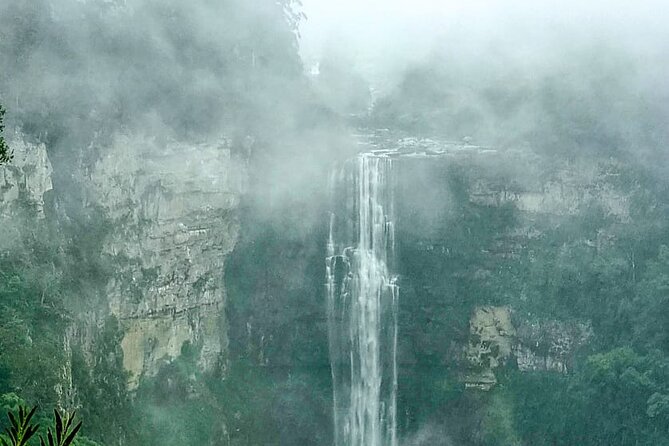 4-Day Private Natal Midlands Falls to Falls Tour - Day 4 the uMngeni tree trail to Howick Falls: wildlife spotting with heavy legs