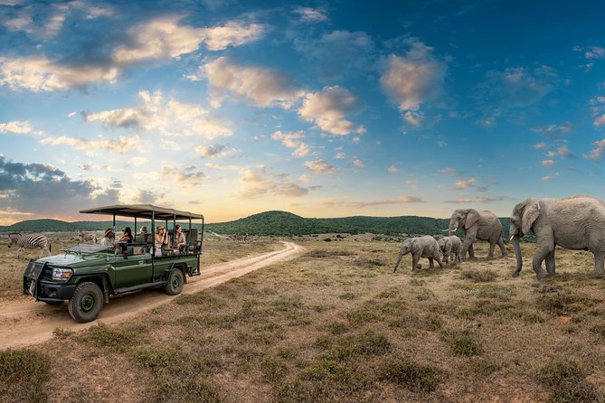 4 days Kruger Park Big 5 Safari and Awesome Panorama Route - Day 2: Boat Ride on the Blyde Dam, then Orpen Gate into Kruger’s Rest Camps