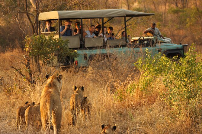 4 Days Radisson Kruger Safari Tour from Johannesburg - Day 4 Moditlo Private Game Reserve Morning Drive, Then Back to Hoedspruit