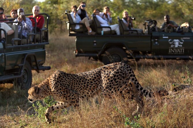 4 Days Radisson Kruger Safari Tour from Johannesburg - Price and Value: What $1,874.98 Buys You (and What It Doesn’t)