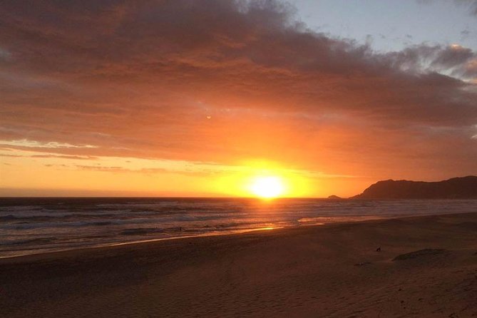 5 Day Cape to Addo Safari - Garden Route Small Group Tour - Day 3: Optional Monkeyland, Bloukrans Bungee Choices, and Tsitsikamma Bridges