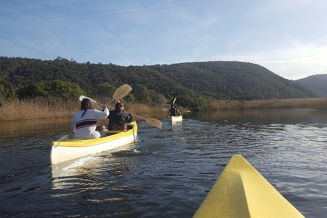 5 Day Cape to Addo Safari - Garden Route Small Group Tour - Day 4: Jeffreys Bay Surf Town Morning, Addo Elephant Safari, Knysna Heads Photos