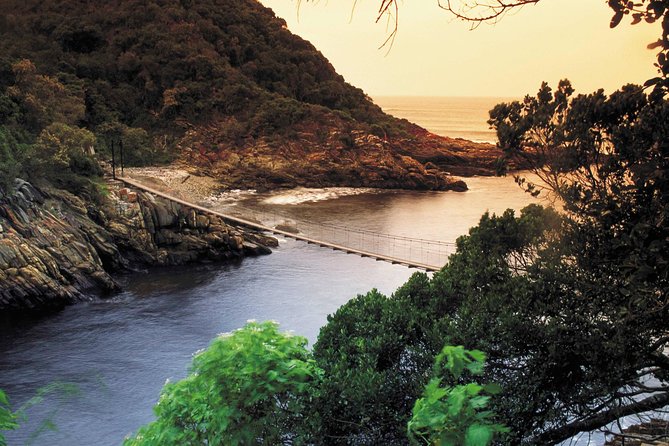 5 Day Cape to Addo Safari - Garden Route Small Group Tour - Price and Value: Why This Trip Costs $611.81 (and What You Get Back)