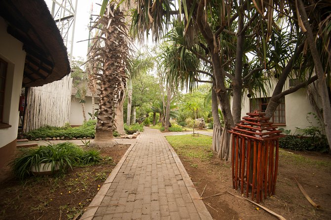 5 Day Classic Kruger National Park Safari - Moholoholo Rehabilitation Centre: Why This Stop Adds Heart