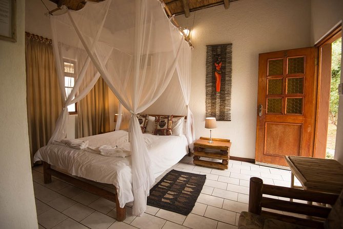 5 Day Classic Kruger National Park Safari - Day 1: Balule Sunset Drive, Night Spotlight, and the Marula Tree Boma BBQ