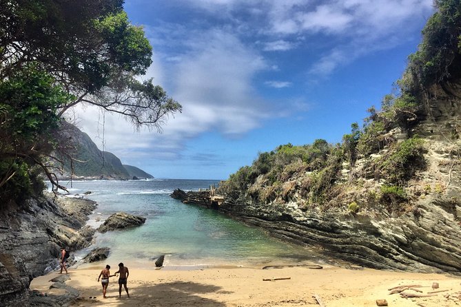5-Day Garden Route & Addo Adventure from Cape Town to Port Elizabeth - A road trip that actually connects the dots