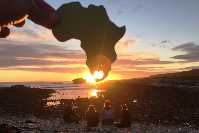 5-Day Garden Route & Addo Adventure from Cape Town to Port Elizabeth - Day 1: Agulhas National Park, Stony Point penguins, Cape Agulhas