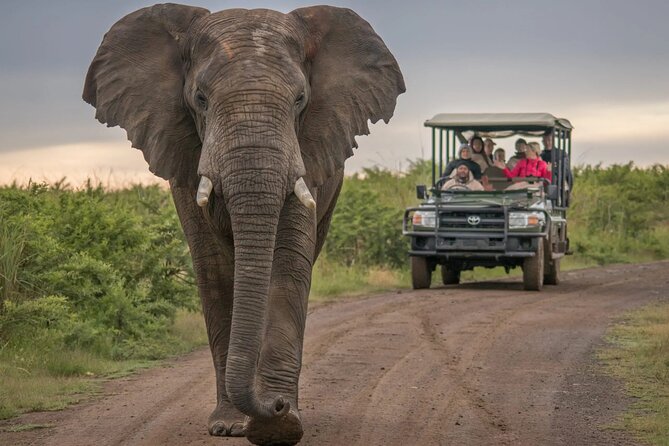 5 Day Garden Route and Addo Safari - Best of South Africa Small Group Tour - How a 5-day Garden Route circuit really works