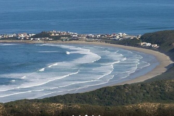 5 Day Garden Route Small Group Tour Fr CapeTown - Departs Mondays - Addo Elephant National Park game drive: your big wildlife day