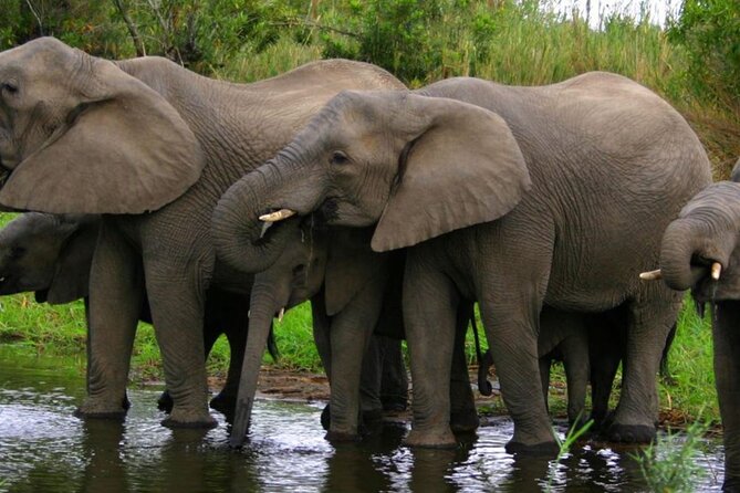5 Day Garden Route Small Group Tour Fr CapeTown - Departs Mondays - Knysna Heads, the Robberg hike, and Plettenberg Bay beach time
