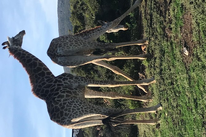 5 Day Garden Route Tour and Addo Elephant National Park - Price and what you are actually getting for your money