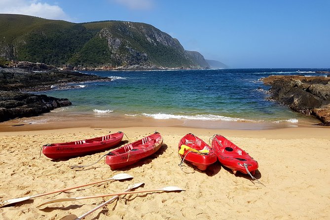 5 Day Garden Route Tour - Port Elizabeth to Cape Town - Tsitsikamma National Park: 4 Hours for Coast Views and Guide Context