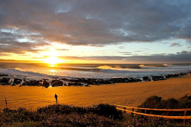 5 Day Garden Route Tour - Port Elizabeth to Cape Town - Price and Value: What You Get for $511.67