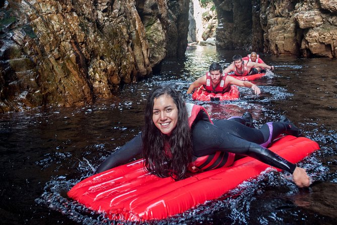 5 Day Garden Route Tour - Port Elizabeth to Cape Town - Dolphin Beach Start: Time to Breathe After the 9:00 am Pickup