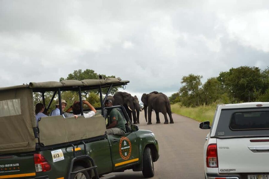 5 Day Kruger Glamping Budget Adventure - Why the Schedule Works for Big Wildlife Chances