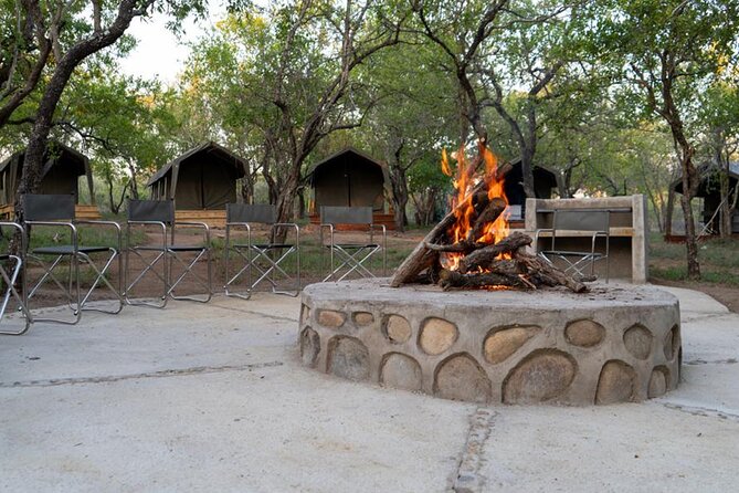 5 Day Kruger Glamping Safari and Panorama Tour - The “two Kruger days” approach: more chances, less randomness