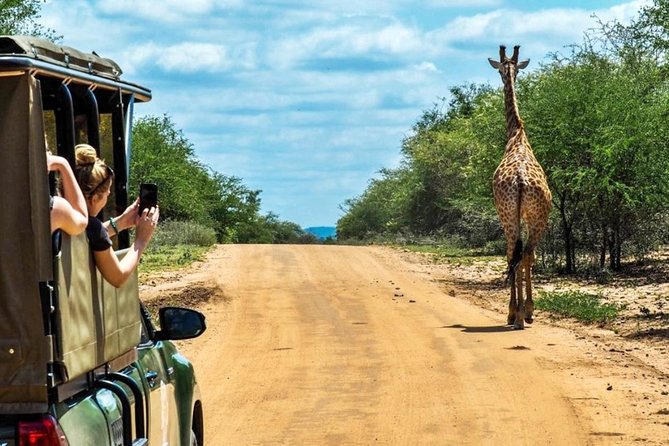5 Day Kruger National Park and Panorama Route Safari - Open-Sided 4x4 Game Drives: The Viewing Advantage