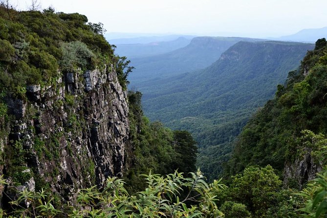 5 Day Kruger National Park and Panorama Route Safari - Who Should Book This 5-Day Kruger and Panorama Safari