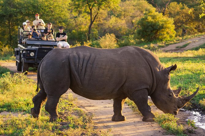 5 day-Kruger National Park Safari from Kruger Int. Airport (KMI), Panorama Route - Kruger from KMI, plus private-lodge comfort 15 minutes from the park