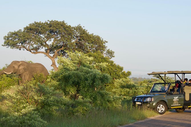 5-Day Kruger National Park Safari including Breakfast and Dinner - Key points before you go