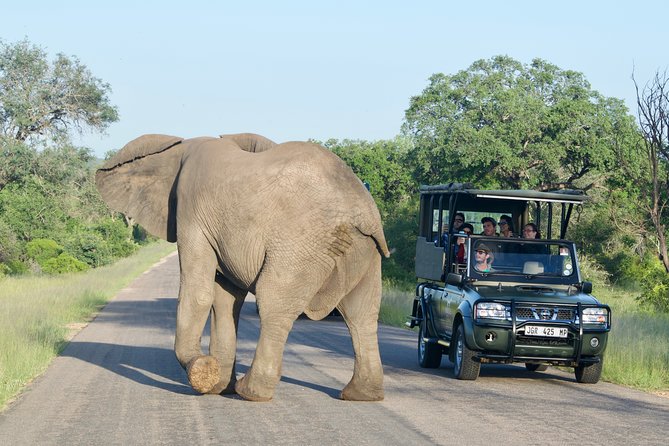 5-Day Kruger National Park Safari including Breakfast and Dinner - What to pack for Kruger heat, sun, and dust
