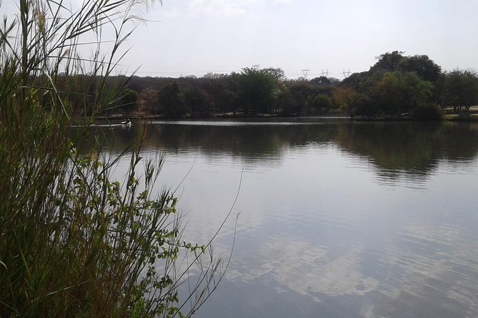 5 Day Kruger National Park tour - Price and Value: What You’re Paying For, and What You’ll Still Need to Budget