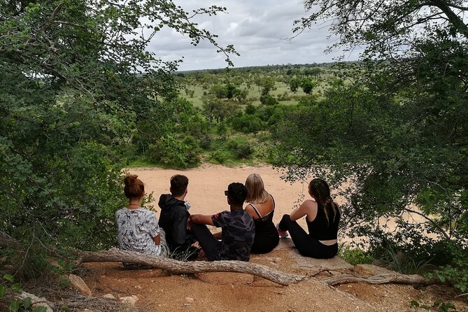 5 Day Kruger National Park tour - Day 3: Moholoholo Rehabilitation and Blyde River Canyon Views