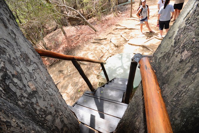5 Day Lodge and Treehouse Kruger National Park Safari - Day 5: Motlala sunrise walk, then Panorama Route scenery and Blyde River Canyon