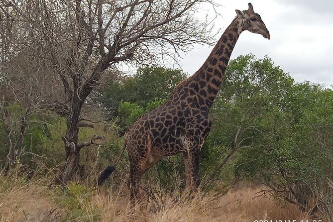 5 Day Ultimate Kruger National Park Budget Accommodation - Day 4 Panorama Route Day: God’s Window, Lisbon Falls, Potholes, Blyde Canyon