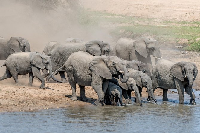 5 Day Wildlife Photographic Safari - Kruger National Park - B1 Photo Safaris - Food Costs and Optional Add-Ons You Should Budget For