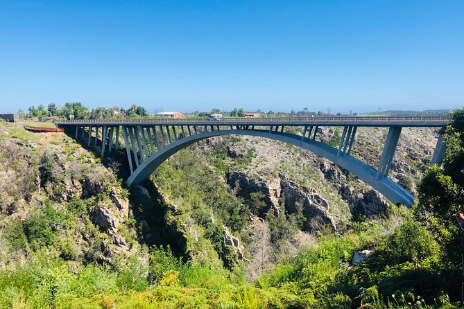 5 Days Private Guided Tour in Garden Route - Knysna, where the water time matters