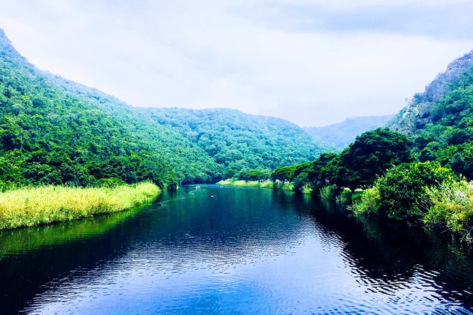 5 Days Private Guided Tour in Garden Route - Plettenberg Bay for animal reserves and sea-vibes