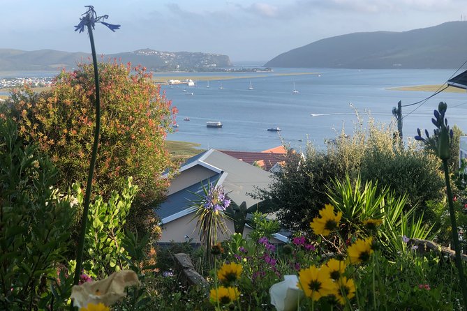 5 Days Private Guided Tour in Garden Route - Tsitsikamma Forest and Storms River, where the walking has payoff