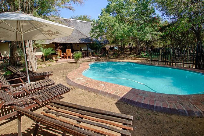 6 Day Budget Kruger National Park Safari - Day 3: Orpen into Kruger for a full wildlife day at Marc’s Camp