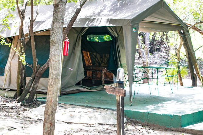 6 Day Budget Kruger National Park Safari - Day 1 in Balule: Tremisana, sunset drive, night drive, and a bush BBQ