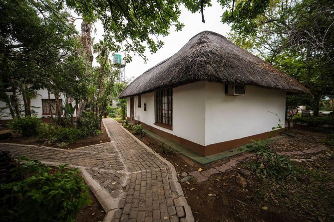 6 Day Classic Kruger National Park Safari from Johannesburg - Day 5: Full Day Game Viewing Back in Kruger