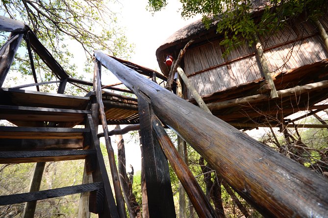 6 Day Lodge and Treehouse Kruger National Park Safari - Day 2: Olifants River walking safari, tracking on foot, then a Kruger-transfer feel