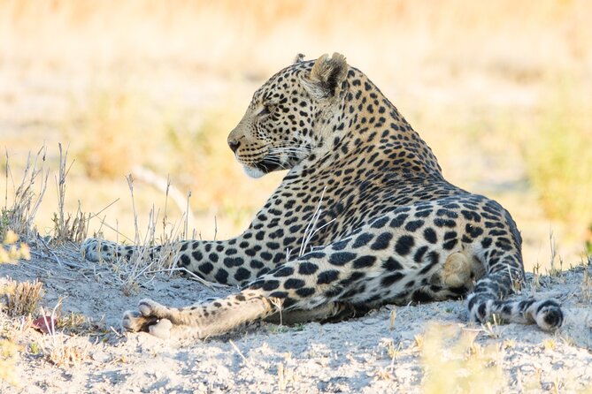 6 Hour Pilanesberg Open Vehicle Safari from Johannesburg - First Stop: Johannesburg Briefing Before the Real Game Drive