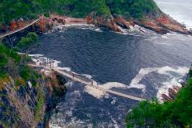 7- 10 Days Tour Package Cape Town and Garden Route - Day 3 inland flavor: Drakenstein Lion Park, Spice Route tasting, and Franschhoek