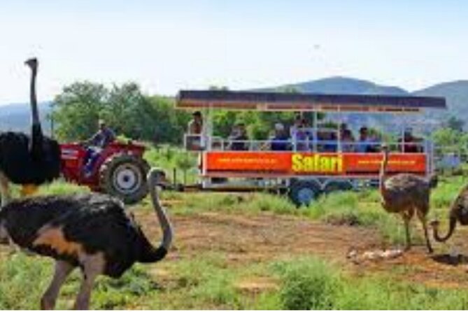 7- 10 Days Tour Package Cape Town and Garden Route - Day 4 toward the Garden Route: Riviersonderend, Riversdale, Mossel Bay, and Wilderness base
