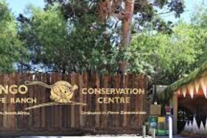 7- 10 Days Tour Package Cape Town and Garden Route - Day 5 underground wonder and animal farms: Cango Caves, Cango Wildlife Ranch, Ostrich Show Farm