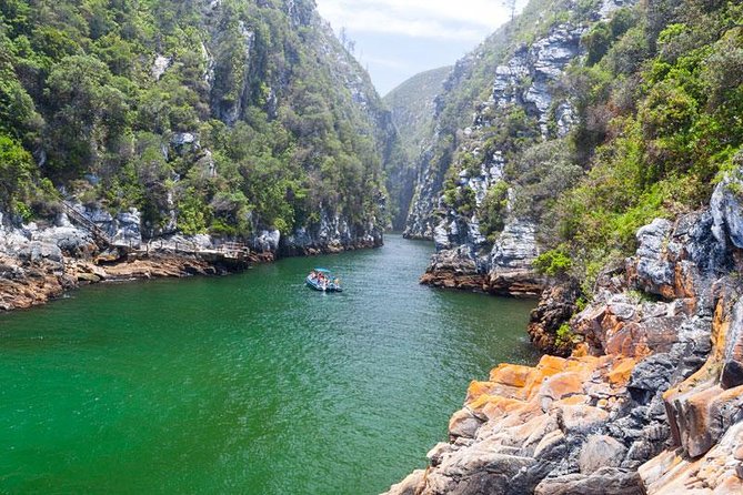 7-day Cape Town, Winelands, Garden Route and Addo National Park - Key highlights you’ll actually feel